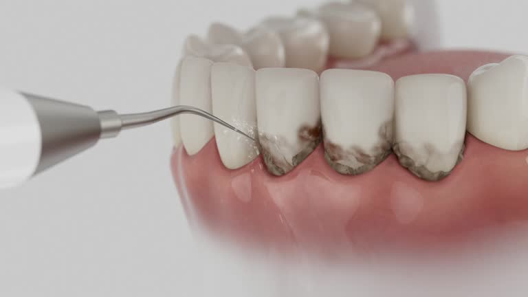 Reliable Dental contractor in West Yarmouth, MA by Dentist Open Now